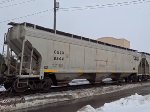 CGLX 2344